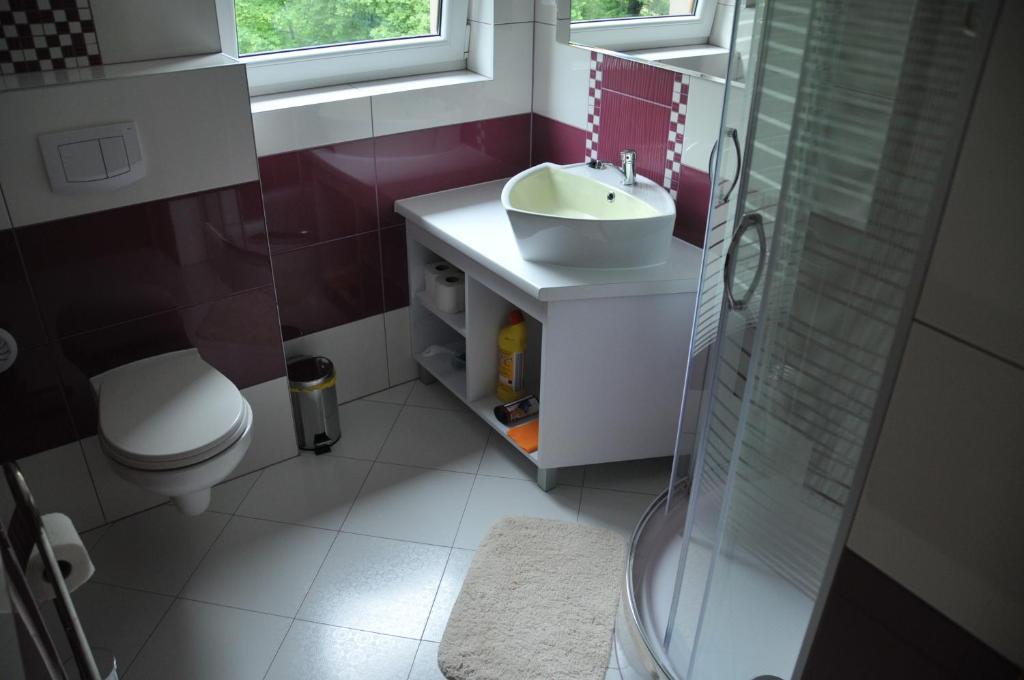Willa Stenia Center Apartamenty Wisla Ruang foto